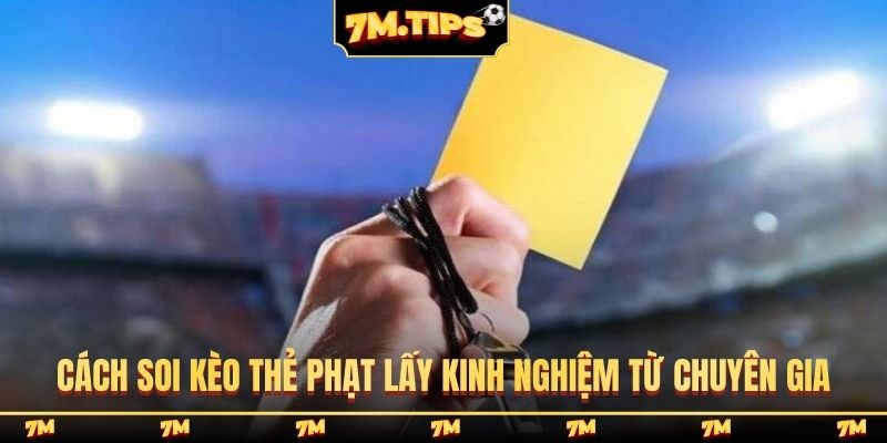 Cách soi kèo thẻ phạt lấy kinh nghiệm từ chuyên gia